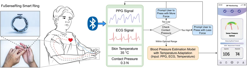 FuSenseRing and its multimodal blood pressure estimation workflow
